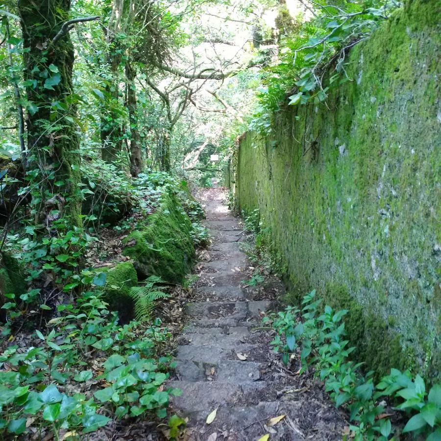 Villa Mucifal A Sintra Kültér fotó